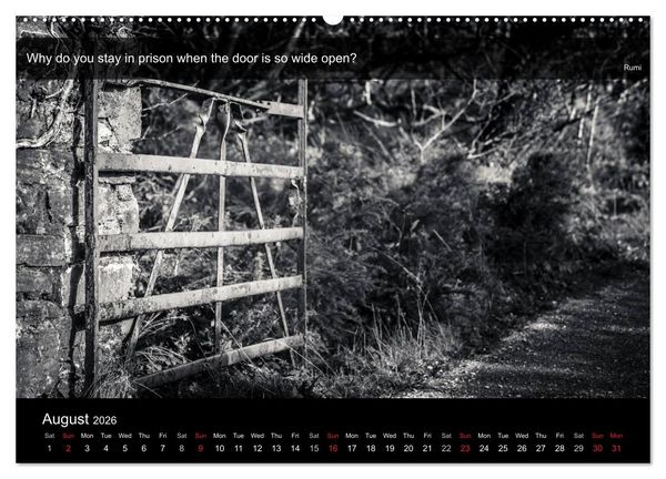 Produktbild: Through the Gate with Rumi (High Quality Premium Wall Calendar 2026 DIN A2 landscape),CALVENDO 12 Month Wall Calendar