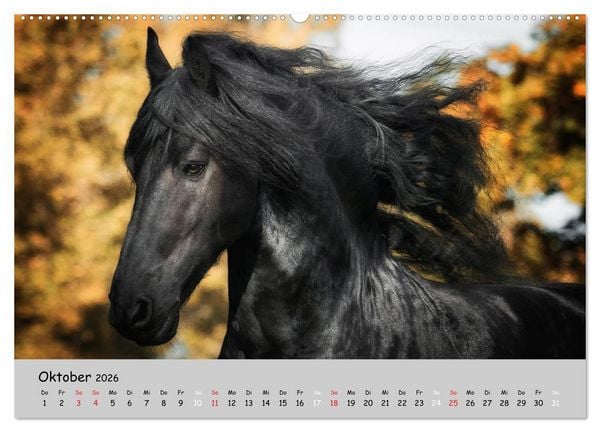 Produktbild: Pferde - Anmut und St&auml;rke gepaart mit Magie (Wandkalender 2026 DIN A2 quer), CALVENDO Monatskalender