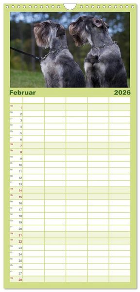 Produktbild: Familienplaner 2026 - Schnauzer... von Zwergen und Riesen 2026 mit 5 Spalten (Wandkalender, 21 x 45 cm) CALVENDO