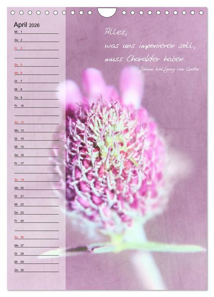 Produktbild: Blumen & Zitate / Geburtstagskalender (Wandkalender 2026 DIN A4 hoch), CALVENDO Monatskalender