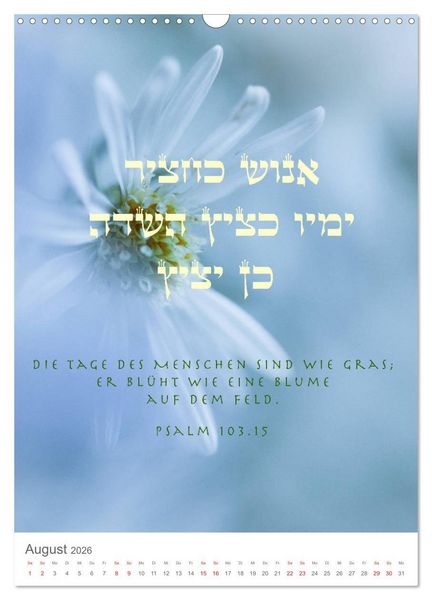 Produktbild: Psalmen Tehilim Hebr&auml;isch - Deutsch (Wandkalender 2026 DIN A3 hoch), CALVENDO Monatskalender