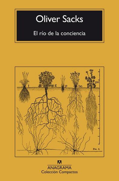 Produktbild: R&iacute;o de la Conciencia, El