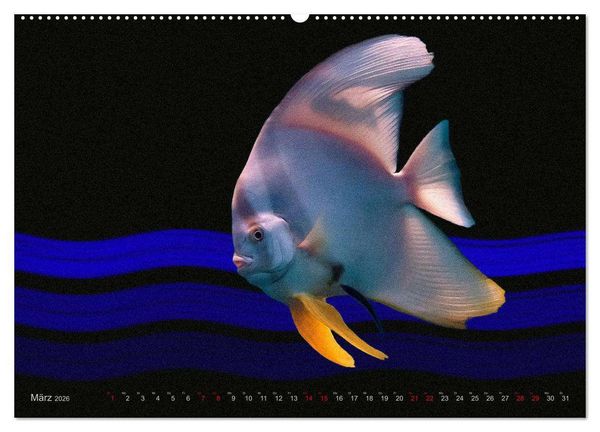 Produktbild: Artwork Unterwasser - Erlebnis Tauchen (hochwertiger Premium Wandkalender 2026 DIN A2 quer), Kunstdruck in Hochglanz