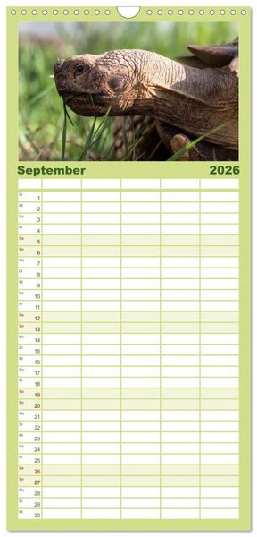 Produktbild: Familienplaner 2026 - Landschildkr&ouml;ten mit 5 Spalten (Wandkalender, 21 x 45 cm) CALVENDO