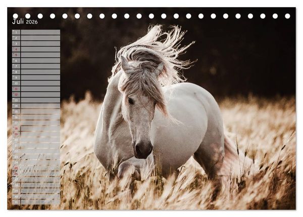 Produktbild: Pferde - Spiegel deiner Seele (Tischkalender 2026 DIN A5 quer), CALVENDO Monatskalender