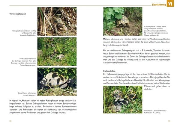 Produktbild: Freigehege f&uuml;r Europ&auml;ische Landschildkr&ouml;ten