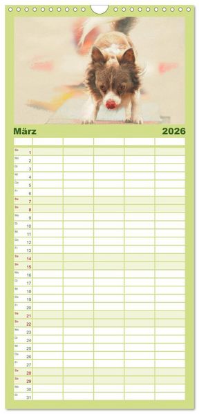 Produktbild: Familienplaner 2026 - Chihuahuas 2026 mit 5 Spalten (Wandkalender, 21 x 45 cm) CALVENDO