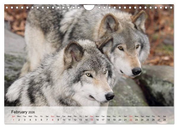 Produktbild: Canada Impressions (Wall Calendar 2026 DIN A4 landscape), CALVENDO 12 Month Wall Calendar