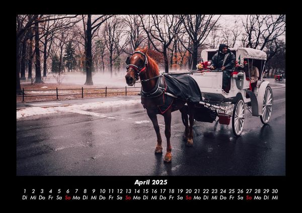Produktbild: Die Welt der Pferde 2025 Fotokalender DIN A3