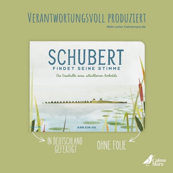 Produktbild: Schubert findet seine Stimme