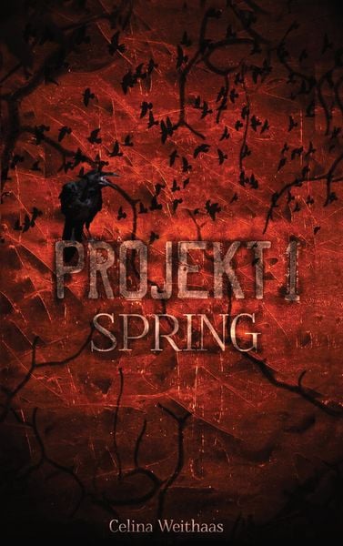 Spring - Projekt I