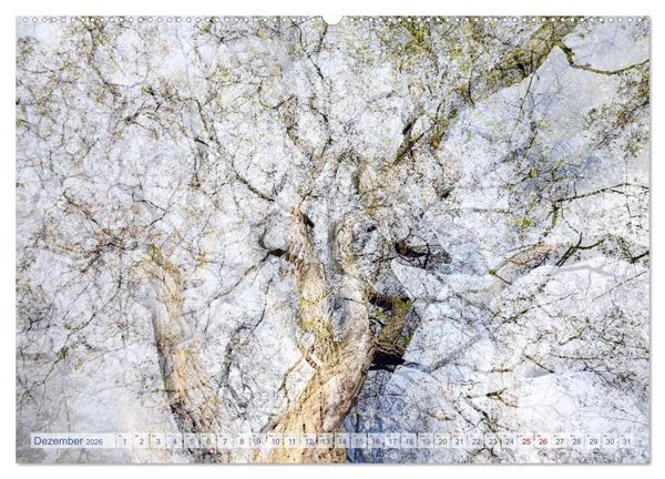 Produktbild: Vielfalt der B&auml;ume - variety of trees (hochwertiger Premium Wandkalender 2026 DIN A2 quer), Kunstdruck in Hochglanz