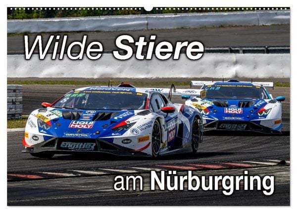 Produktbild: Wilde Stiere am N&uuml;rburgring (Wandkalender 2026 DIN A2 quer), CALVENDO Monatskalender