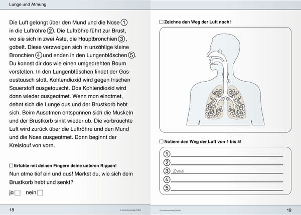Produktbild: Ich kenne meinen Körper - 3 Hefte im Kombi