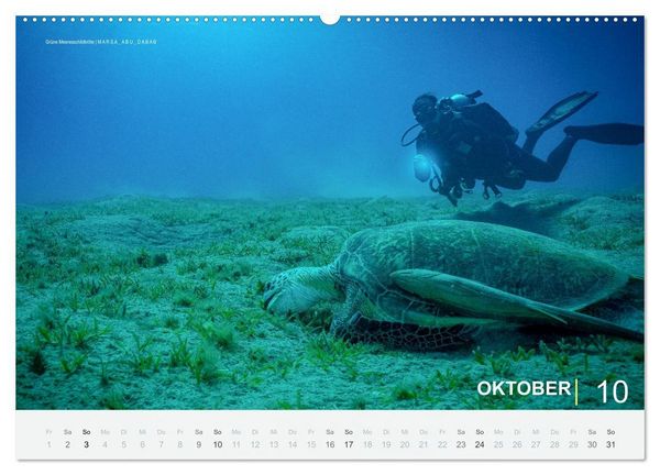 Produktbild: Die sch&ouml;nsten Korallenriffe zum Tauchen in &Auml;gypten (Wandkalender 2027 DIN A2 quer), CALVENDO Monatskalender