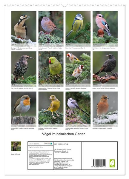 Produktbild: V&ouml;gel im heimischen Garten (hochwertiger Premium Wandkalender 2026 DIN A2 hoch), Kunstdruck in Hochglanz
