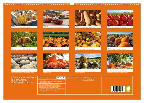 Produktbild: K&Uuml;RBIS KALENDER - Die sch&ouml;nsten K&uuml;rbisse des Jahres (hochwertiger Premium Wandkalender 2026 DIN A2 quer), Kunstdruck in Hochglanz