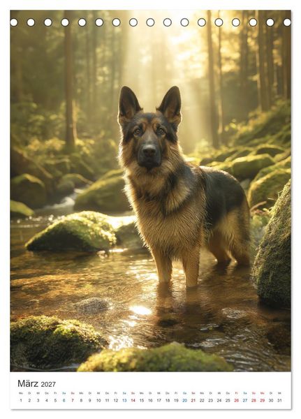 Produktbild: Seelenblick Sch&auml;ferhund (Tischkalender 2027 DIN A5 hoch), CALVENDO Monatskalender