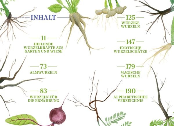 Produktbild: Die Kraft der Wurzeln