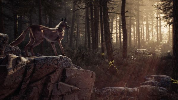 Produktbild: Blair Witch