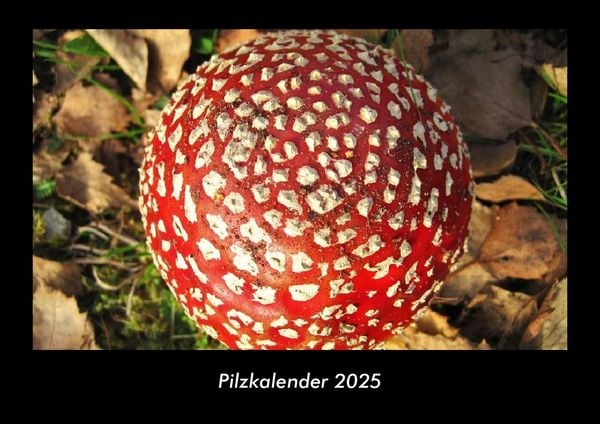 Produktbild: Pilzkalender 2025 Fotokalender DIN A3