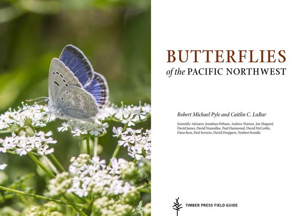 Produktbild: Butterflies of the Pacific Northwest