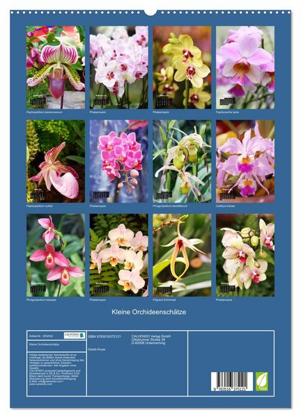 Produktbild: Kleine Orchideensch&auml;tze (hochwertiger Premium Wandkalender 2026 DIN A2 hoch), Kunstdruck in Hochglanz