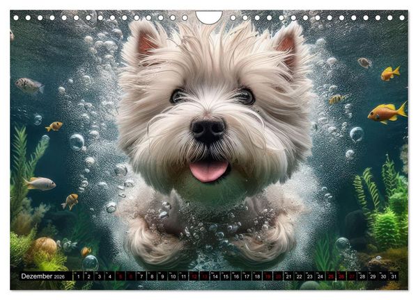 Produktbild: Badespa&szlig; - Hunde unter Wasser (Wandkalender 2026 DIN A4 quer), CALVENDO Monatskalender