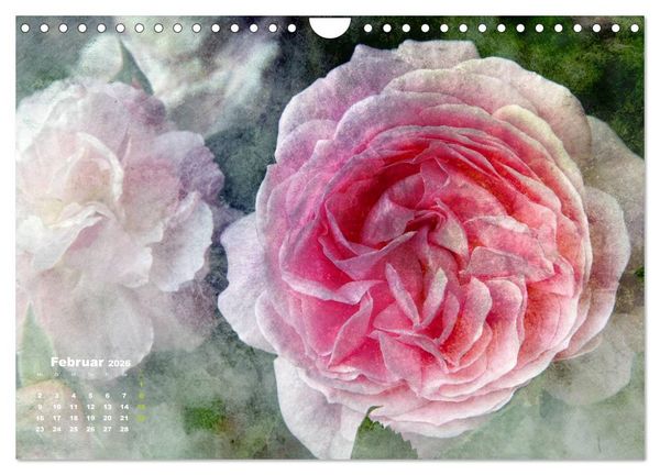 Produktbild: Rosen Romantik (Wandkalender 2026 DIN A4 quer), CALVENDO Monatskalender
