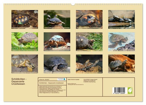Produktbild: Schildkr&ouml;ten - Gepanzerte Urzeitwesen (hochwertiger Premium Wandkalender 2026 DIN A2 quer), Kunstdruck in Hochglanz