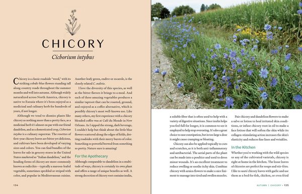 Produktbild: Herbs in Every Season