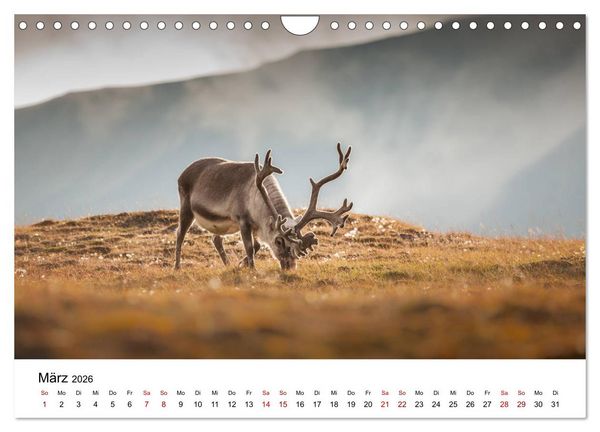 Produktbild: Spitzbergenkalender (Wandkalender 2026 DIN A4 quer), CALVENDO Monatskalender