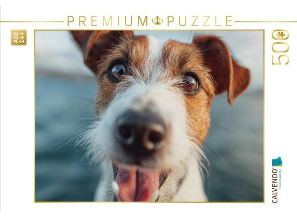 CALVENDO Puzzle Frischer Wind und treue Augen | 500 Teile Lege-Größe 48 × 36 cm Foto-Puzzle für Erwachsene