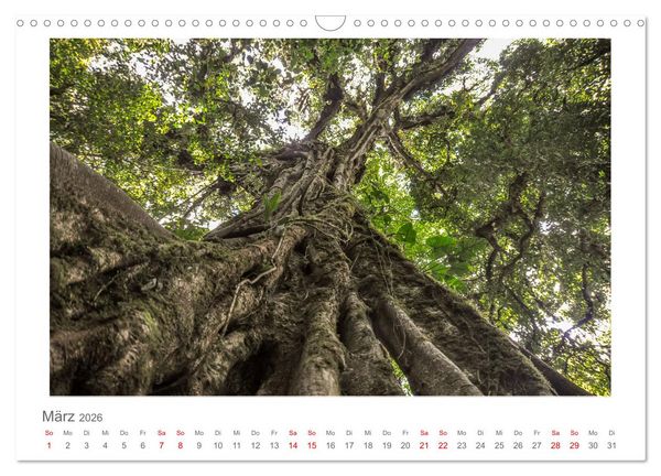 Produktbild: Costa Rica - unterwegs mit Julia Hahn (Wandkalender 2026 DIN A3 quer), CALVENDO Monatskalender