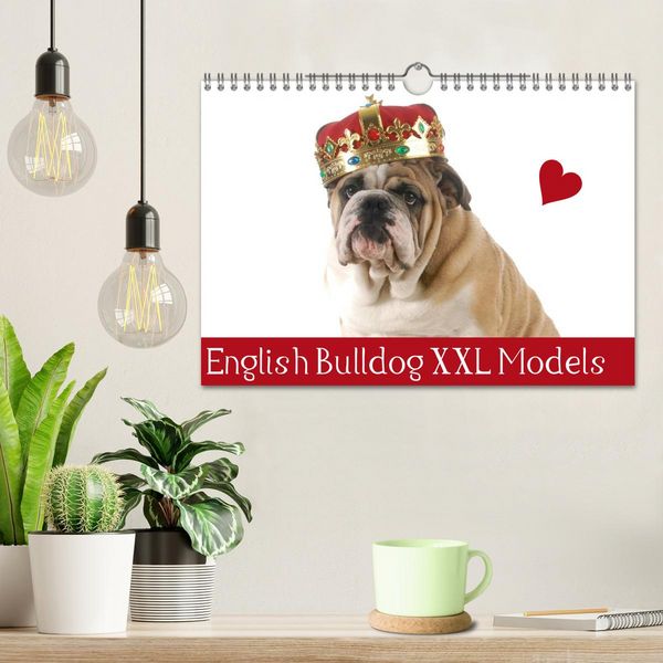 Produktbild: English Bulldog XXL Models (Wandkalender 2026 DIN A4 quer), CALVENDO Monatskalender