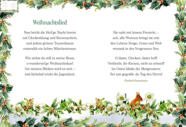 Produktbild: Und wir sehen schon den Stern