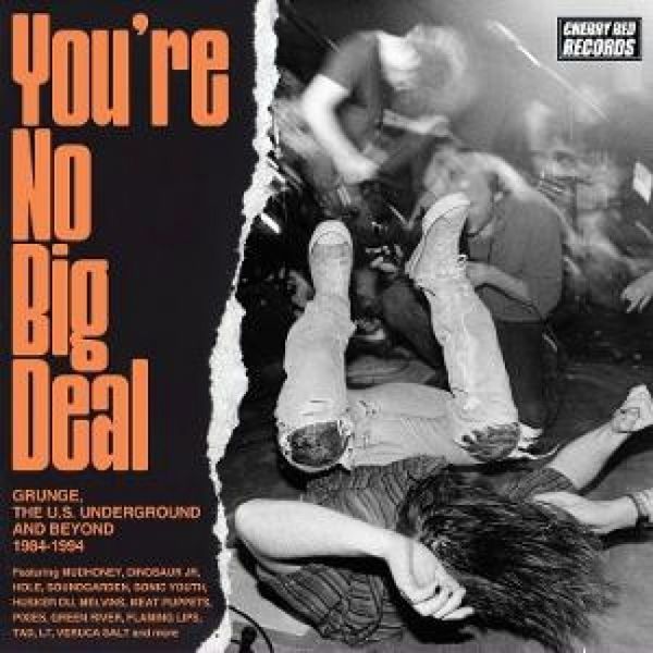 Produktbild: You're No Big Deal-Grunge & The US Underground