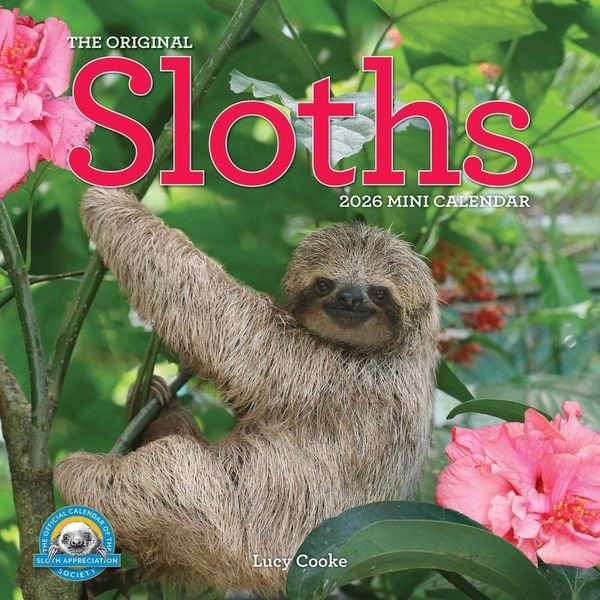Produktbild: Original Sloths Mini Wall Calendar 2026