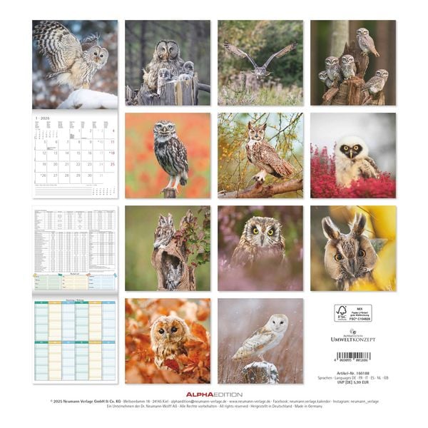 Produktbild: Alpha Edition - Eulen 2026 Broschürenkalender, 30x30cm, Wandkalender mit Platz für Notizen und Termine, beeindruckende Eulen-Motive, Monatsübersicht u