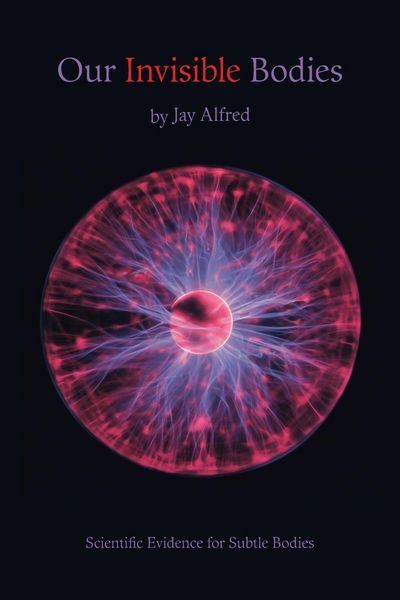 Produktbild: Our Invisible Bodies