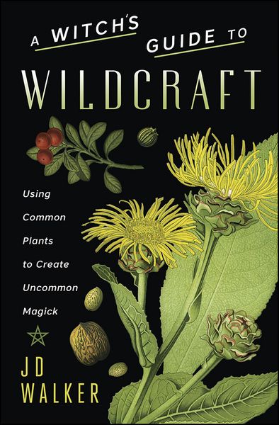 Produktbild: Witch's Guide to Wildcraft