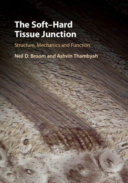 Produktbild: The Soft-Hard Tissue Junction