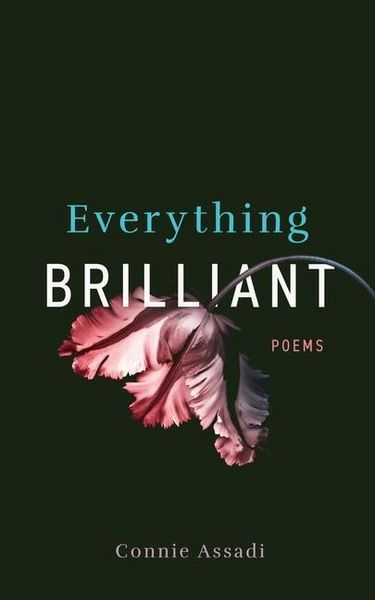 Produktbild: Everything Brilliant: Poems