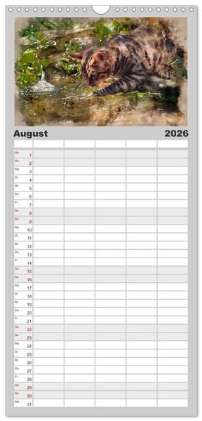 Produktbild: Familienplaner 2026 - Katzenkalender mausgemalt mit 5 Spalten (Wandkalender, 21 x 45 cm) CALVENDO