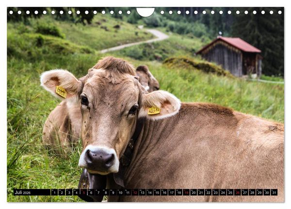 Produktbild: Faszination Allg&auml;u (Wandkalender 2026 DIN A4 quer), CALVENDO Monatskalender