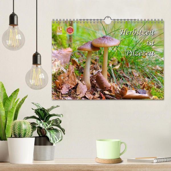 Produktbild: Herbstzeit ist Pilzezeit (Wandkalender 2026 DIN A4 quer), CALVENDO Monatskalender