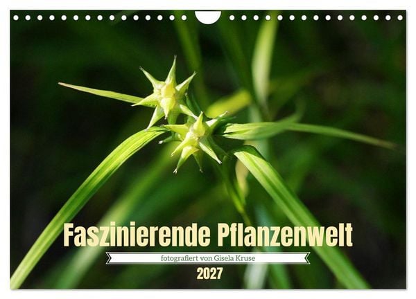 Produktbild: Faszinierende Pflanzenwelt (Wandkalender 2027 DIN A4 quer), CALVENDO Monatskalender