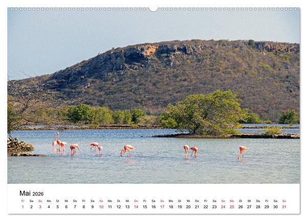 Produktbild: Curacao, die facettenreiche Karibikinsel (hochwertiger Premium Wandkalender 2026 DIN A2 quer), Kunstdruck in Hochglanz