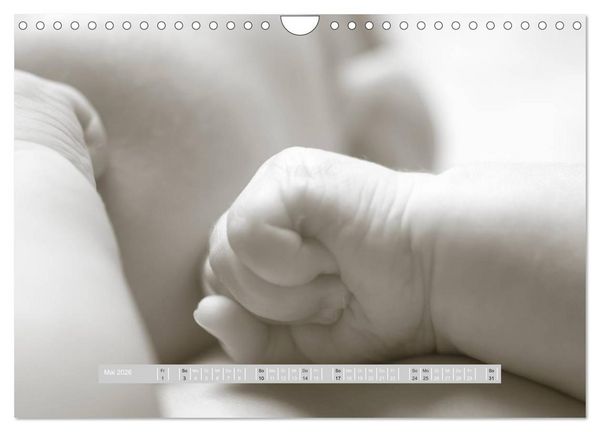 Produktbild: ...so winzig - Babykalender (Wandkalender 2026 DIN A4 quer), CALVENDO Monatskalender