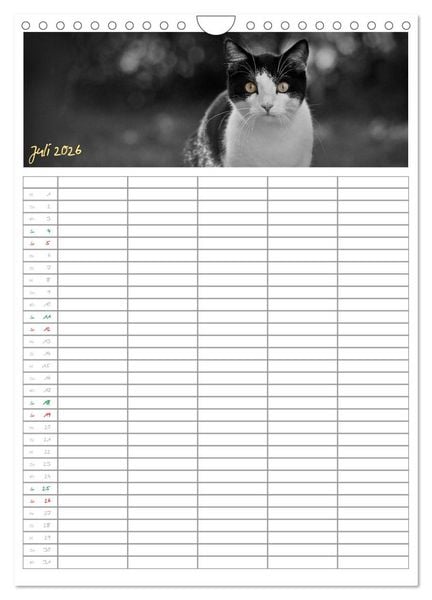 Produktbild: Miezekatzen Planungskalender (Wandkalender 2026 DIN A4 hoch), CALVENDO Monatskalender